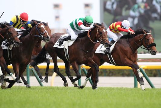 ◆　競馬　JRA　◆　タスティエーラ　◆　日本ダービー　◆　ロックグラス　◆ ◇ 競馬 JRA ◇ タスティエーラ ◇ 日本ダービー ◇ ロック