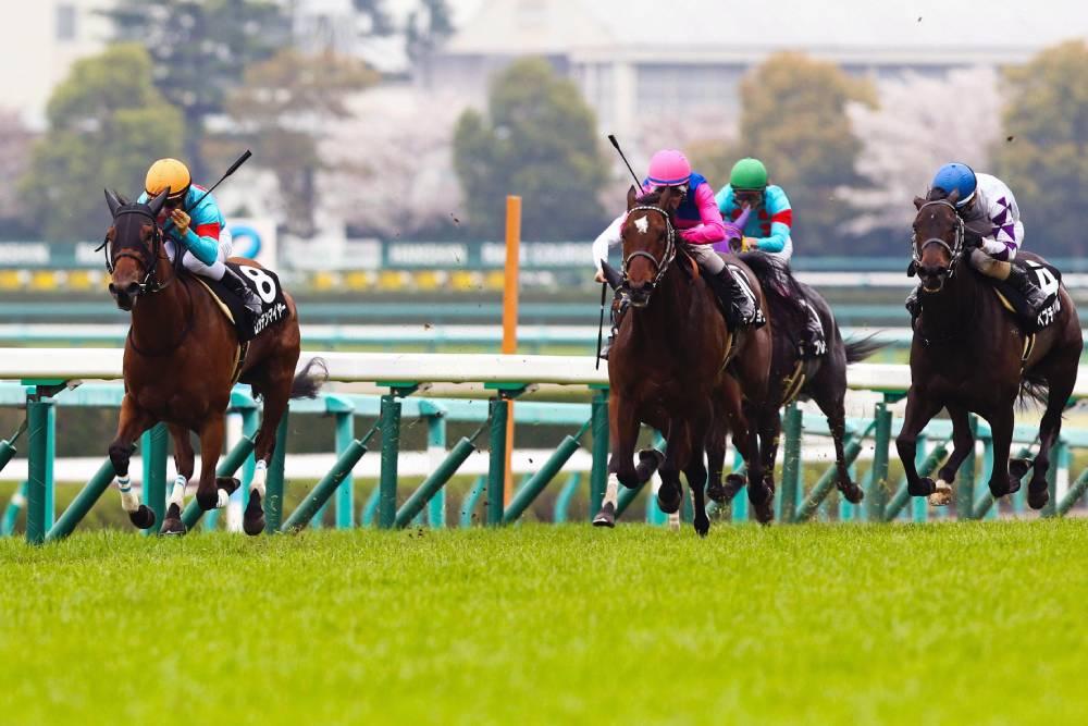 南関競馬予想穴馬ワイド2レース分 - 情報