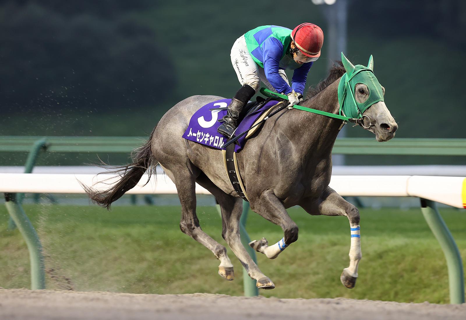 【盛岡競馬11R ひまわり賞(オークス)予想】3歳クラシック二冠馬が