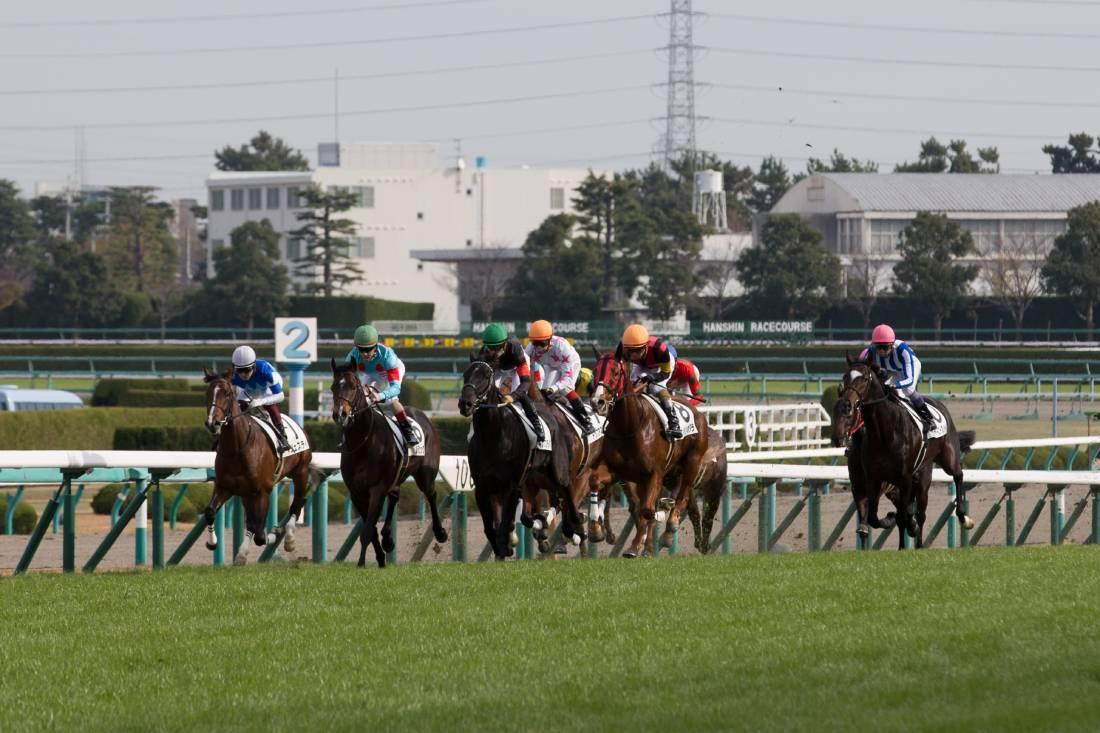 競馬完璧予想 絶好調3連複＆3連単 WIN5は今年すでに3回