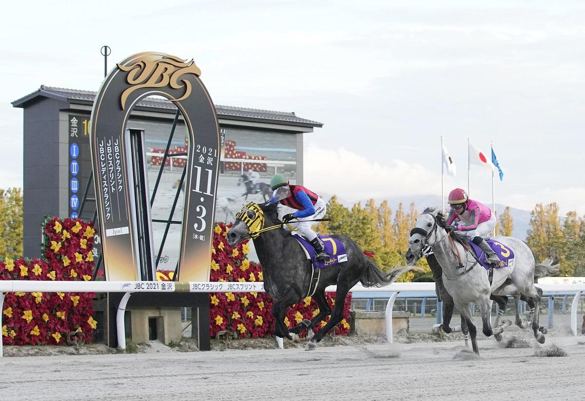 キタサンブラック産駒からダートでも怪物候補 白山大賞典で重賞3連勝を狙う第2のテソーロ＆川田 - スポーツナビ