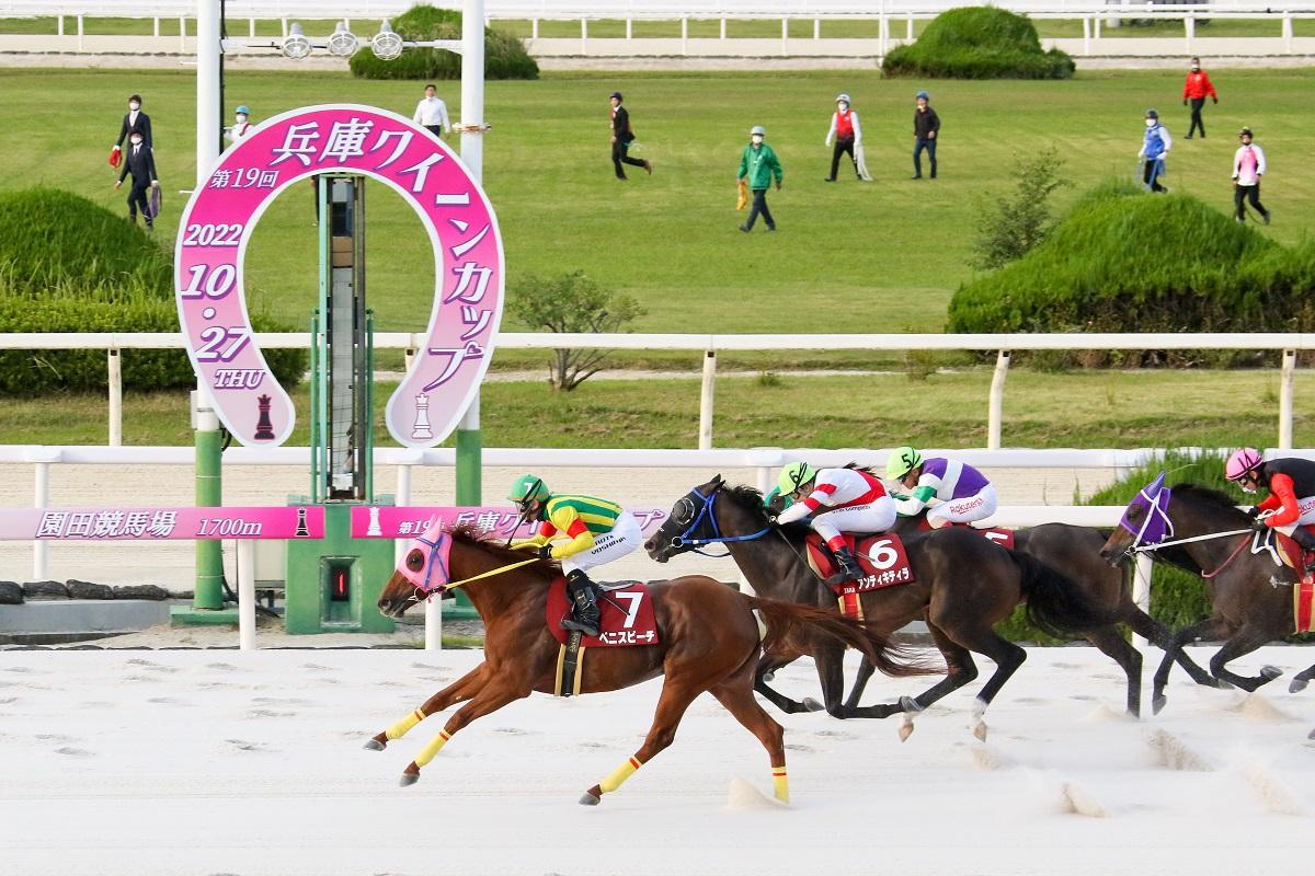 園田競馬11R 兵庫クイーンカップ予想】兵庫夏秋重賞制覇目指すハクサンアマゾネス - スポーツナビ