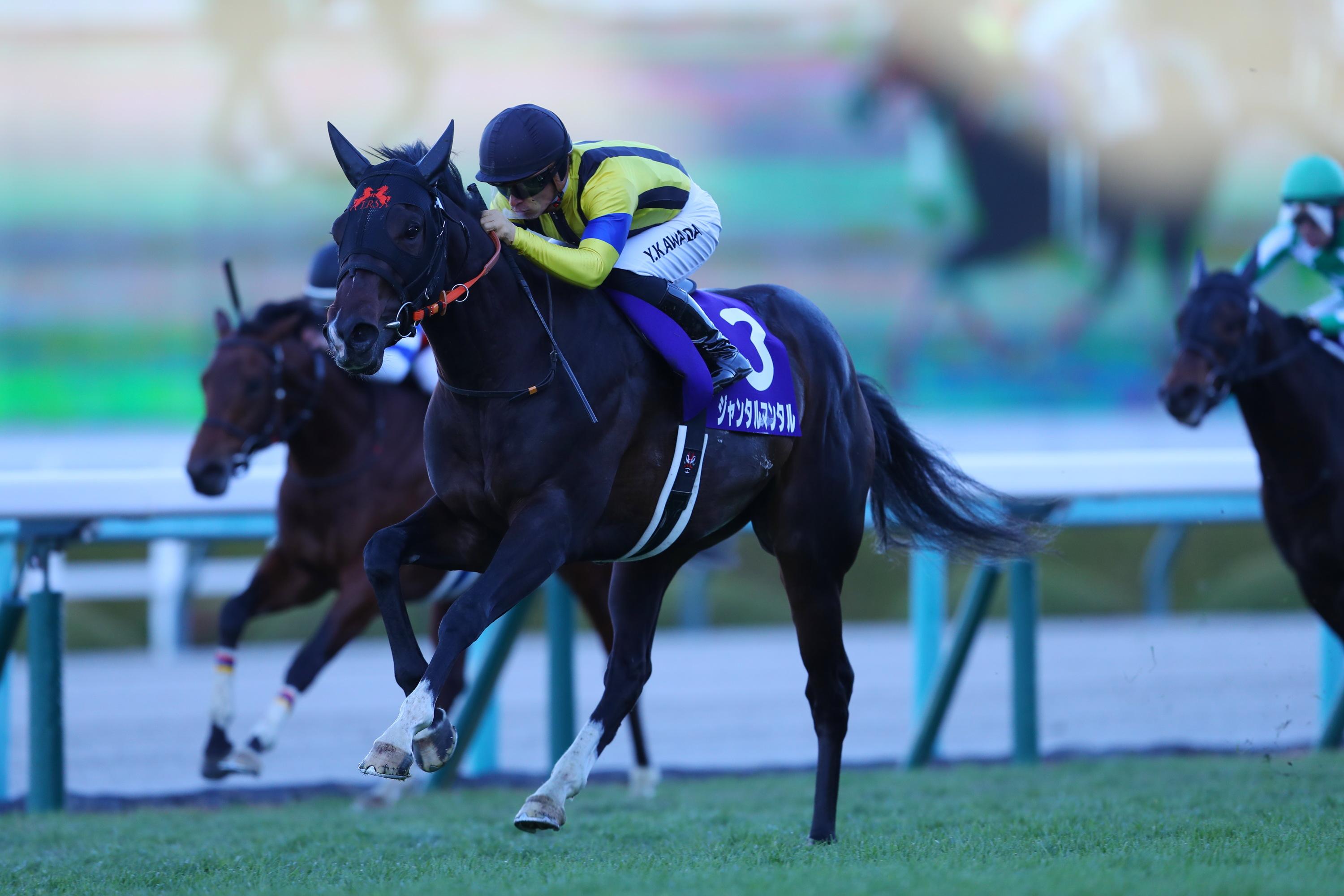 朝日杯FS】日本競馬に新風を呼ぶ血統、ジャンタルマンタルが無敗で2歳マイル王者に - スポーツナビ