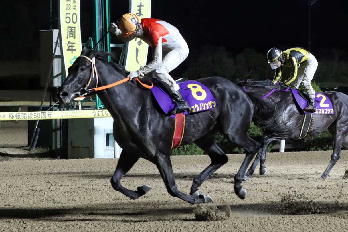 3歳馬は不利？ファン投票の一戦・中島記念データ分析／佐賀競馬 - スポーツナビ