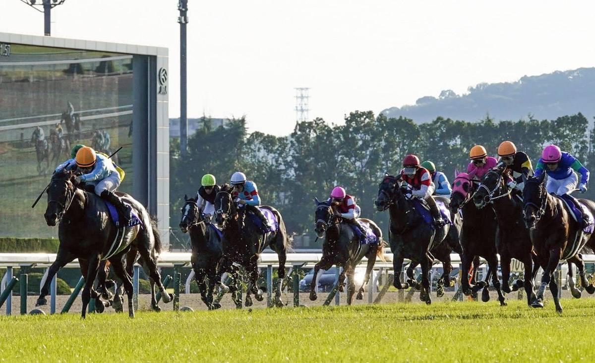 ホープフルSで万馬券的中の絶好調・競馬AI予想 東西金杯お年玉馬券を運ぶ穴馬を大発見！ - スポーツナビ