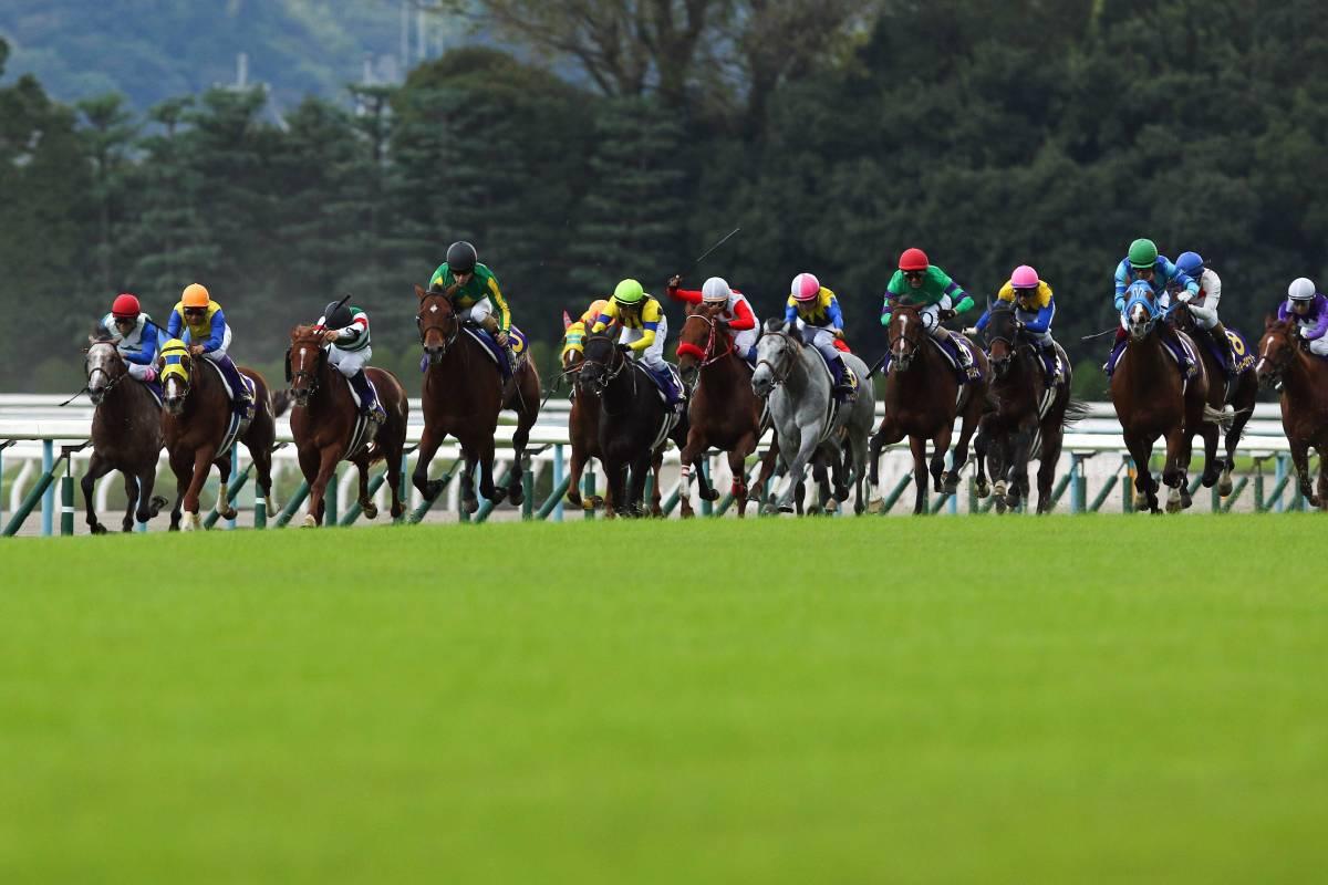 競馬AIが東京新聞杯、きさらぎ賞を大予想 7週連続的中へ厳選ワイド3点＆3連複10点で勝負！ - スポーツナビ