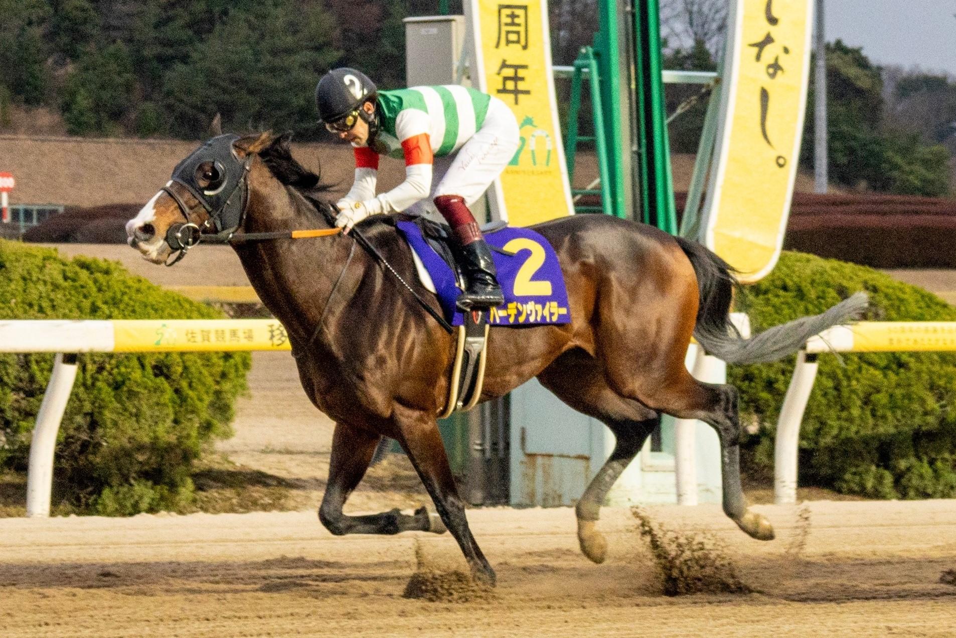 内を空けて走る佐賀だが、内枠の逃げ・先行馬が鍵に？佐賀記念データ分析 - スポーツナビ