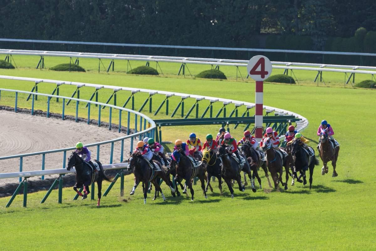 2週連続高配当的中へ競馬AIが鳴尾記念を大予想 厳選ワイド3点＆3連複10点で勝負！ - スポーツナビ