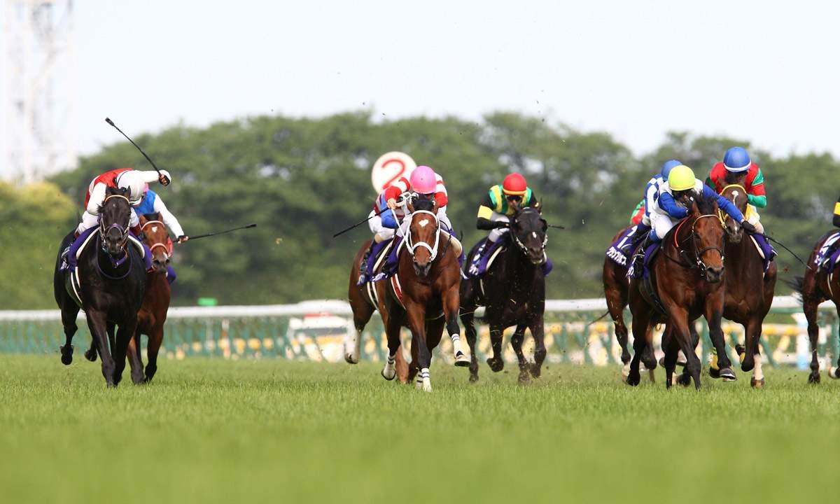 目黒記念52倍的中の競馬AI、安田記念で見つけた波乱の伏兵3頭をピックアップ！ - スポーツナビ