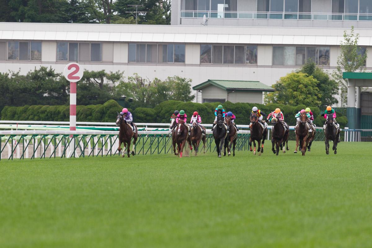 競馬AIがエプソムカップ、函館スプリントSを大予想 厳選ワイド3点＆3連複10点で勝負！ - スポーツナビ