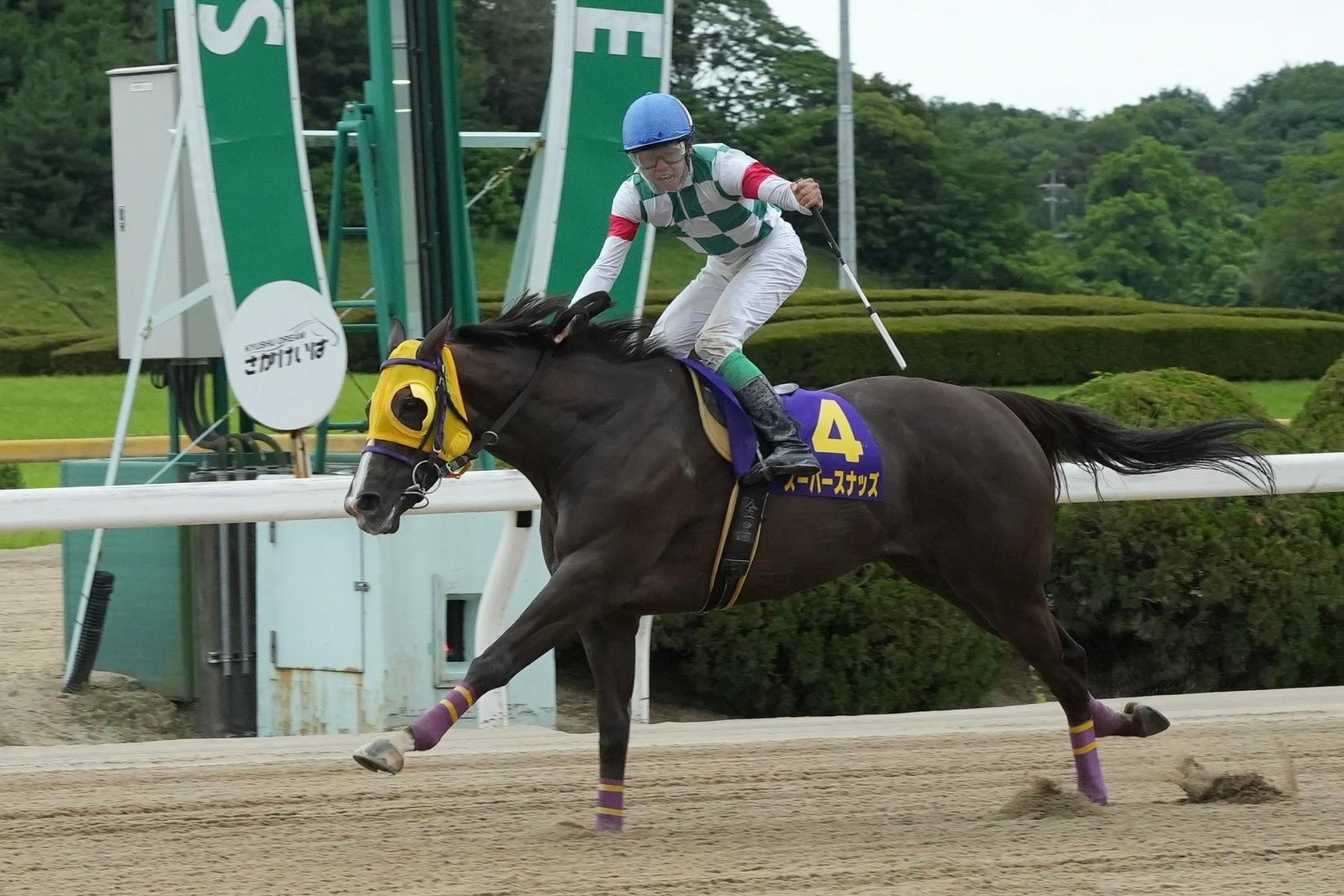 1300mに生まれ変わった一戦も“ゴリマッチョ”に注目？／佐賀