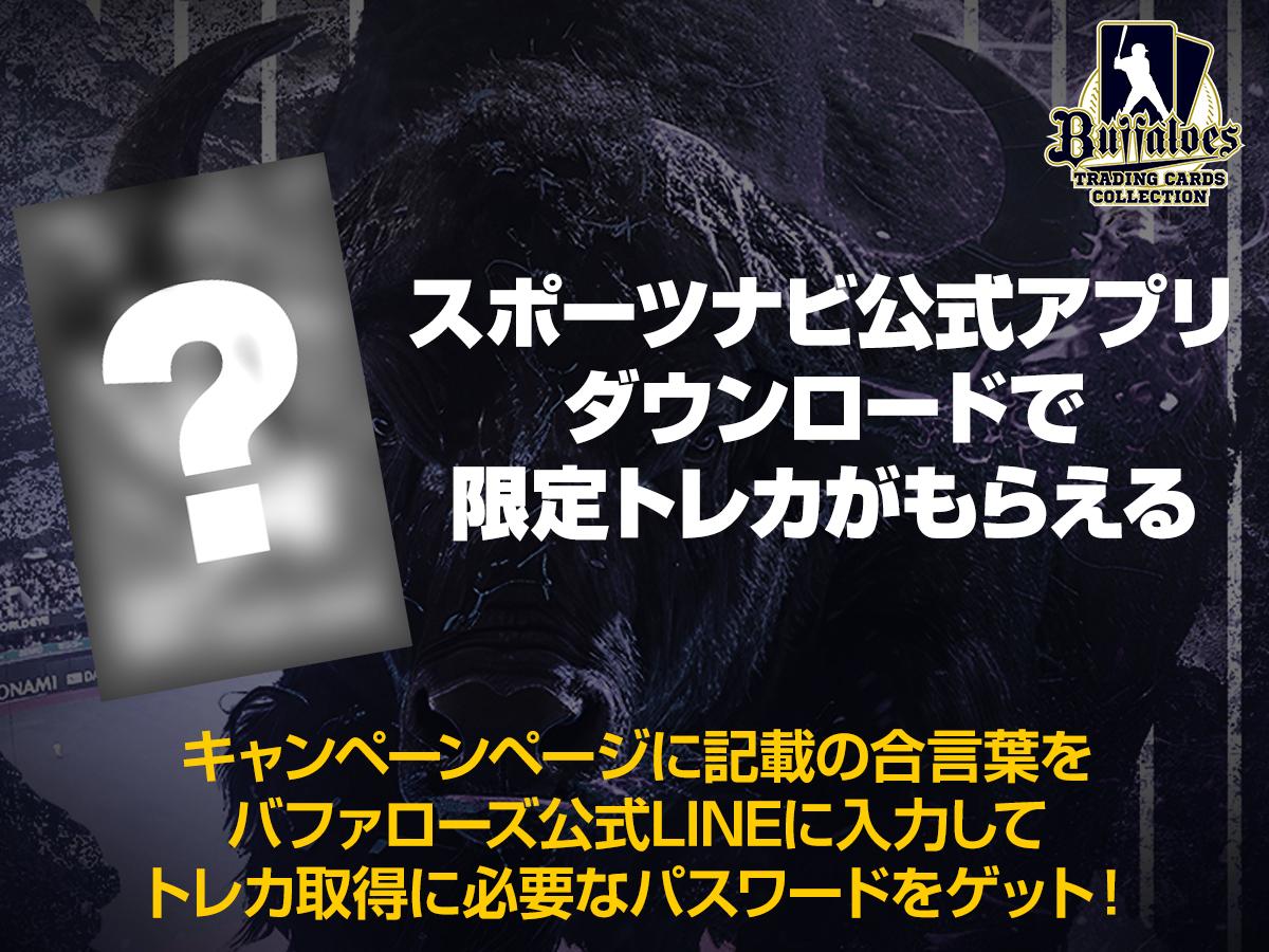 Amazon.co.jp: オーナーズリーグ24弾 / OL24 / NW / 山本翔也