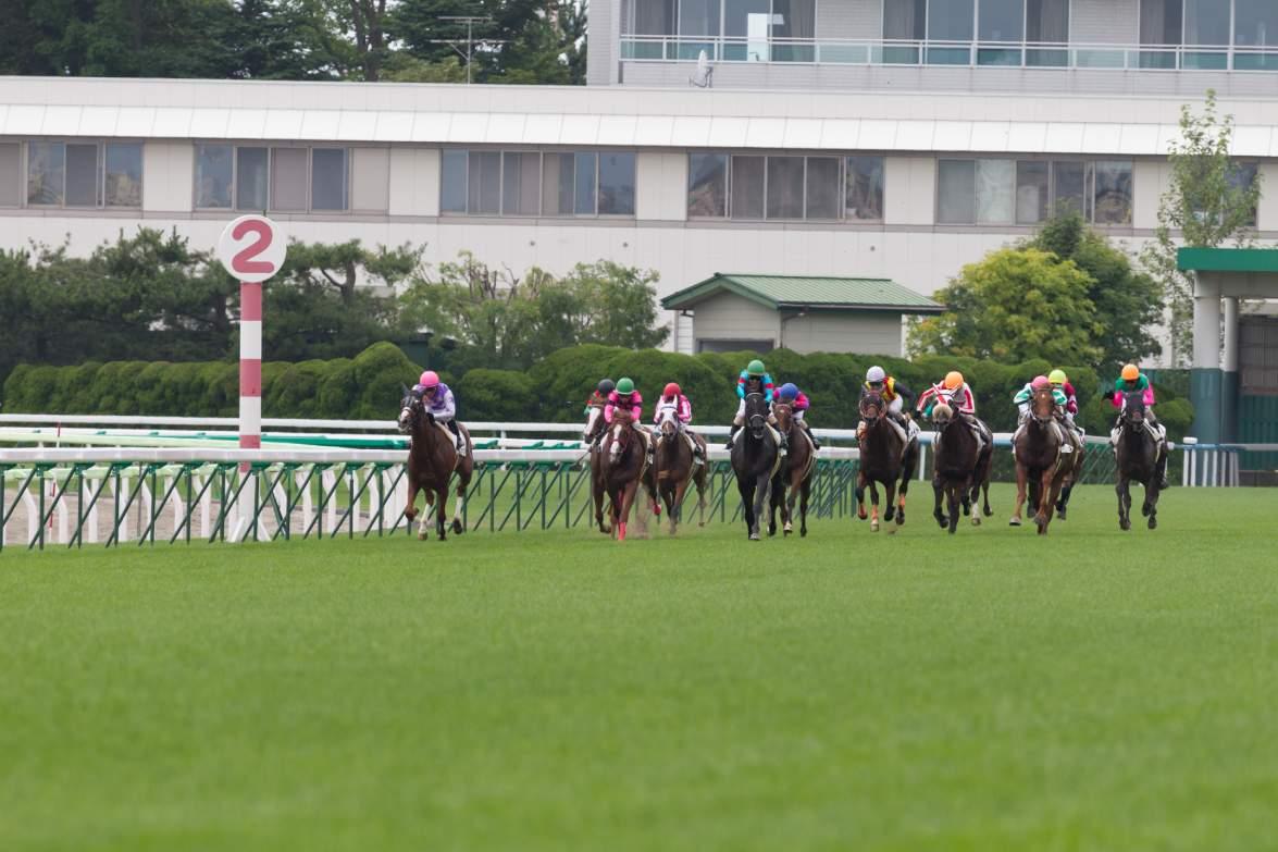 競馬AIが函館記念を大予想 厳選ワイド3点＆3連複10点で勝負！ - スポーツナビ