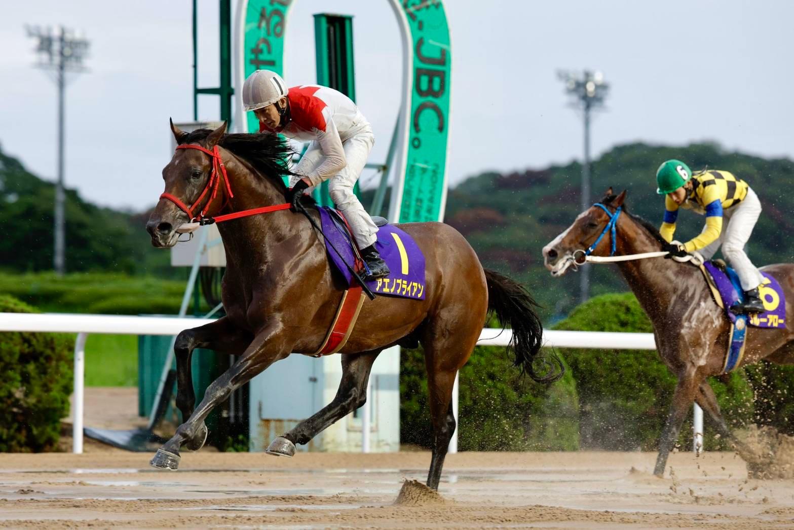 ガイドエッセイ 地方競馬の魅力 競馬場の歩き方 ガイドエッセイ 地方競馬の魅力 競馬場の歩き方