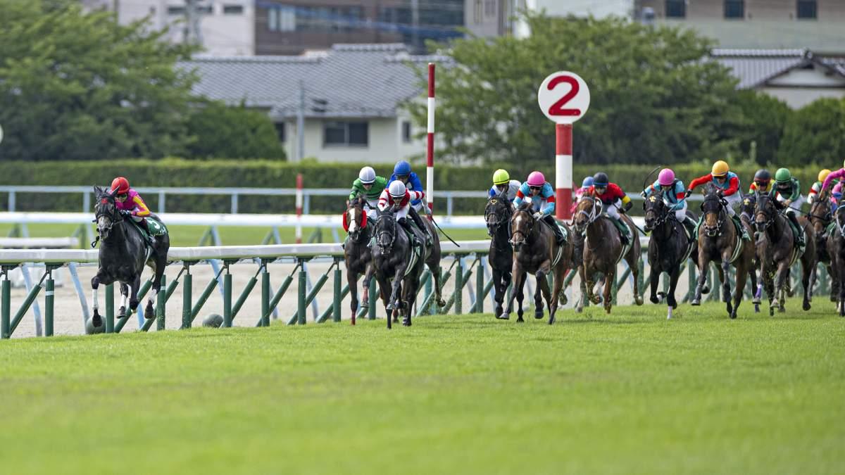 競馬AIが中京記念を大予想 厳選ワイド3点＆3連複10点で勝負！ - スポーツナビ