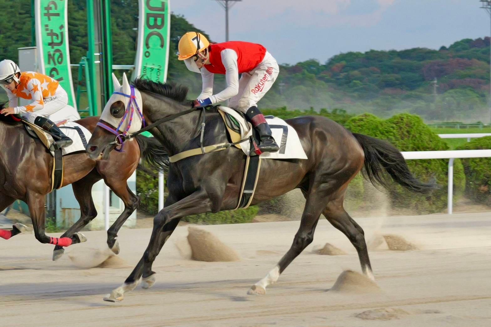 さがけいばニュース【８月１０・１１日】今週は第４回 九州チャンピオンシップも開催！ - スポーツナビ