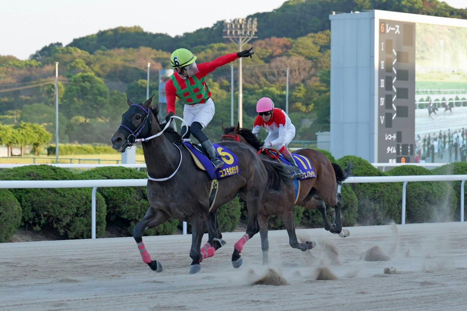 第1回新潟競馬 騎手サイン JRA］GIII新潟大賞典2025サイン考察①出走馬馬名由来