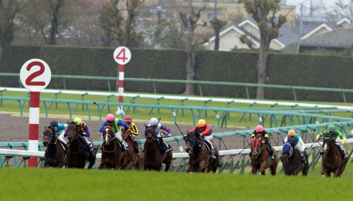 競馬AIがオールカマー、神戸新聞杯を大予想 厳選ワイド3点＆3連複10点で勝負！ - スポーツナビ