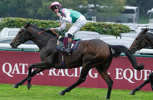凱旋門賞回顧】4歳牝馬ブルーストッキングが歴史的名牝級V、シン