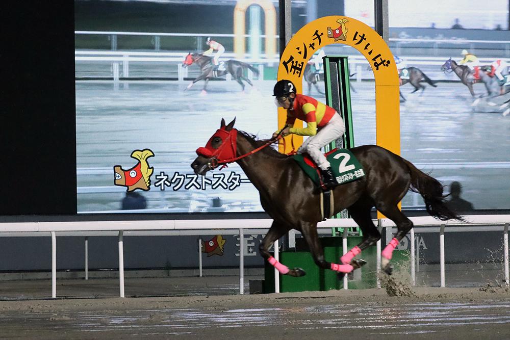 【名古屋競馬】未来優駿2024 第2回 ネクストスター名古屋競走は大畑雅章騎手騎乗の『エレインアスティ号』が優勝 2024.10.29 - スポーツナビ