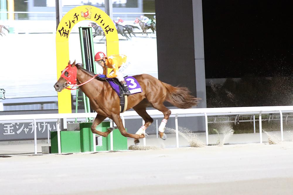 名古屋競馬】愛知県知事杯 第65回 東海菊花賞(SP1)競走は『ラジカルバローズ号』が優勝[今井貴大騎手] 2024.11.21 - スポーツナビ