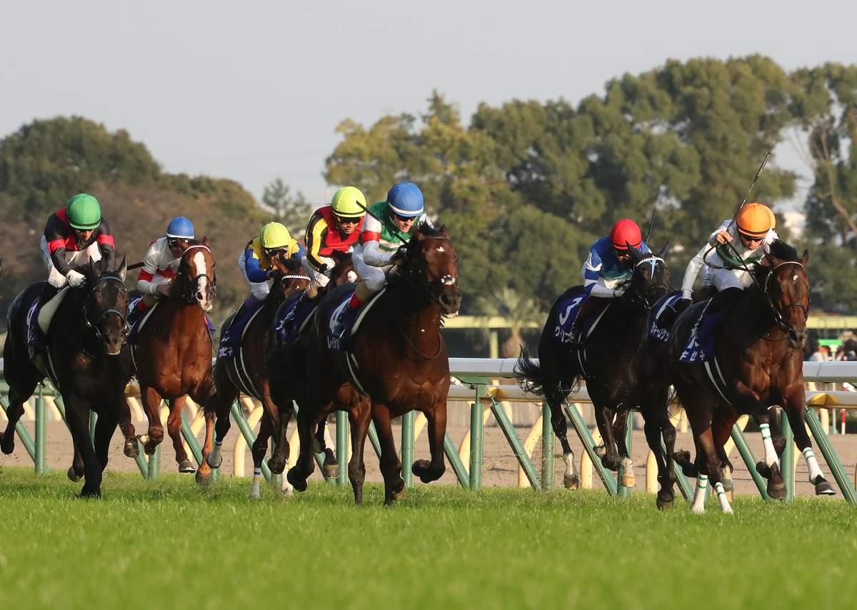 海外馬は買いか・消しか？ アッと驚く日本の穴馬発掘AIの大英断ジャパンカップ予想に注目！ - スポーツナビ