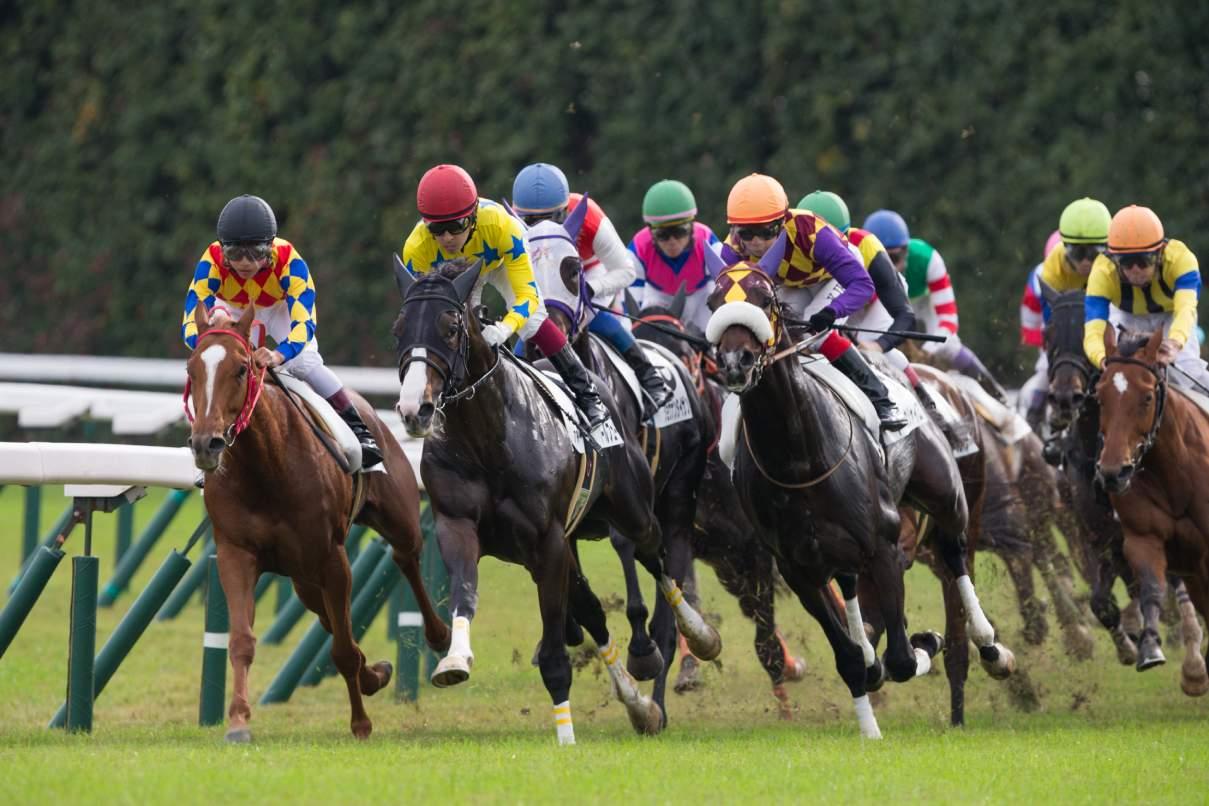 競馬予想AIが指名した来春のスター牝馬候補、阪神JFはこの◎で勝負する！ - スポーツナビ