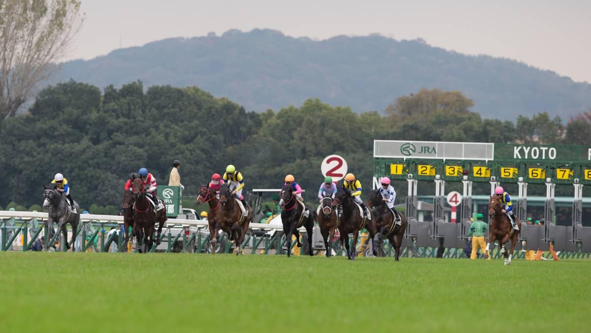 ドウデュース　21年　朝日杯FS　現地的中単勝馬券　ラスト在庫につき値引き❌️ ドウデュース 21年 朝日杯FS 現地的中単勝馬券 ラスト在庫につき