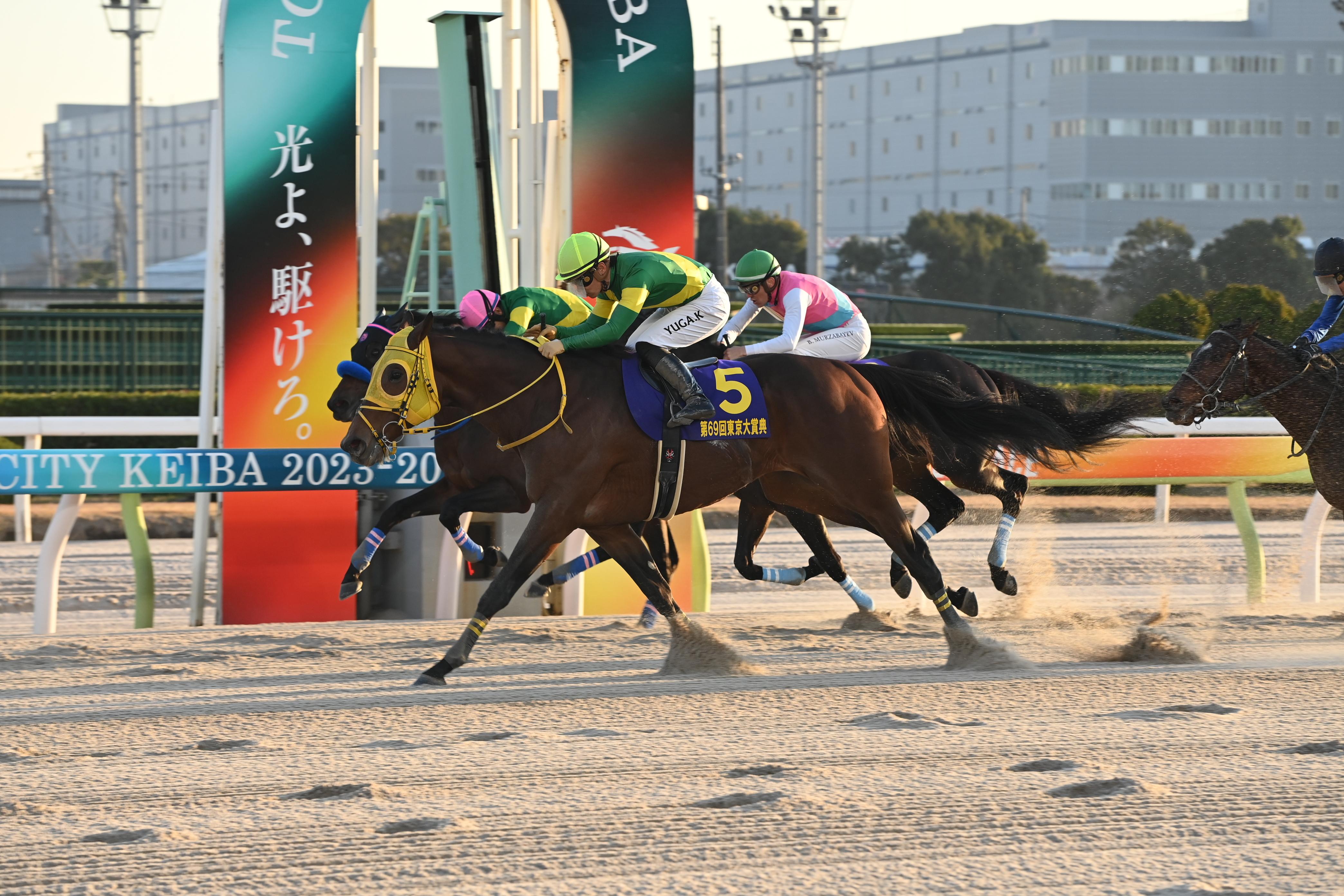 重賞レース分析＞東京大賞典は、主要な前哨戦で好走した馬が強い！ - スポーツナビ