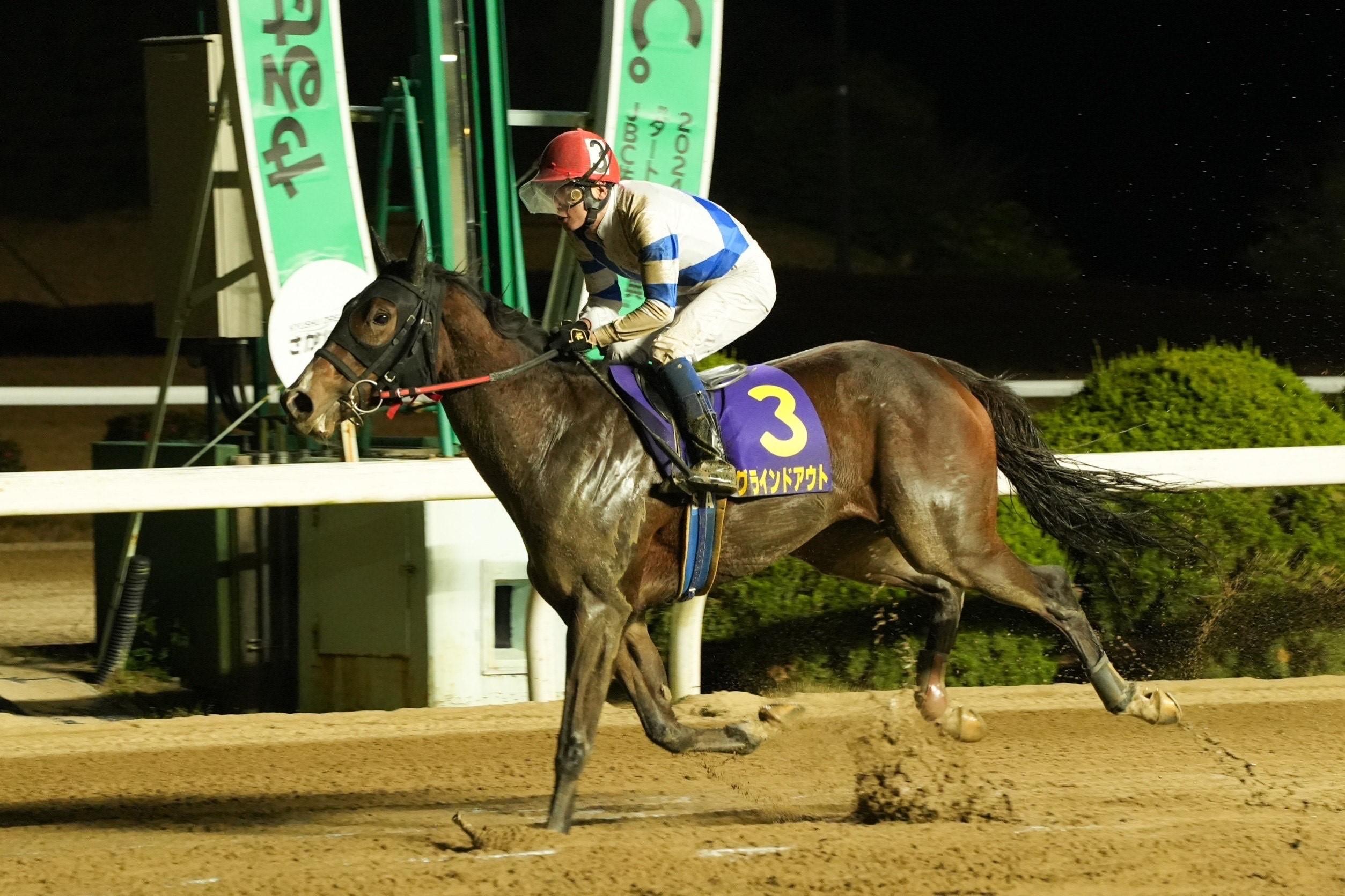 今年も高知馬の勝利か？少頭数で伏兵激走もあり得る3歳牝馬重賞