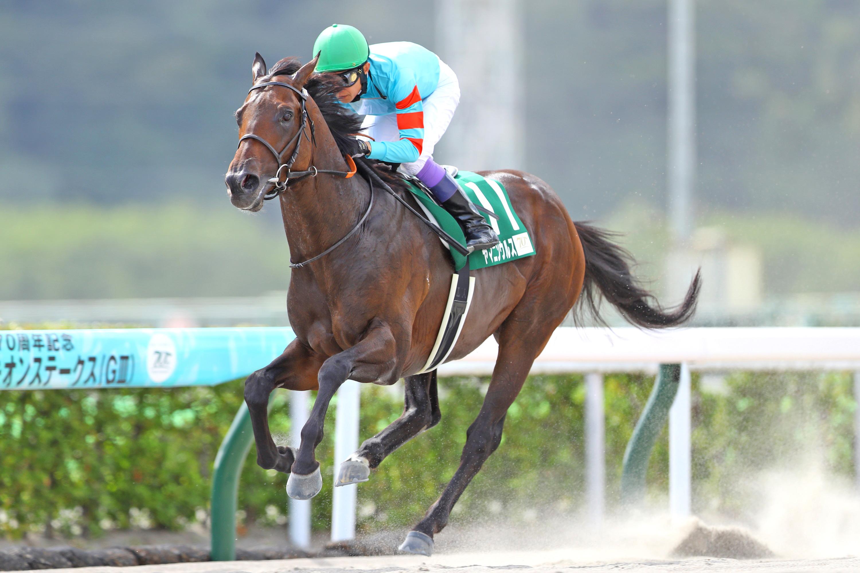 【トゥエンティーズ】競馬で勝ちました 最年少・最年長・最多勝” 武豊がメイショウタバルで宝塚記念制覇
