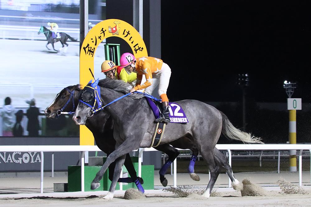 名古屋競馬】日刊スポーツ杯 第65回 東海桜花賞(SP1)競走は