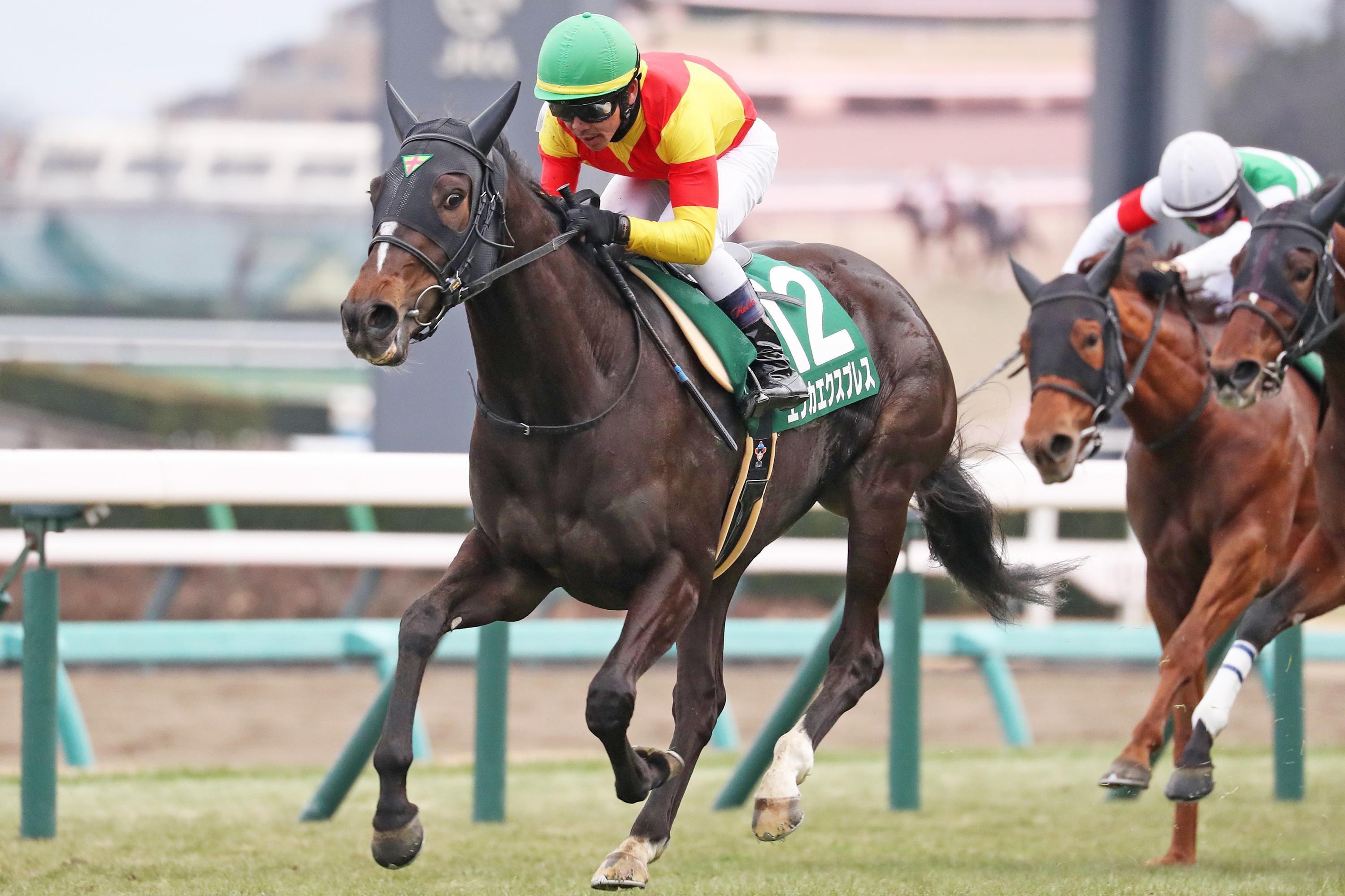 ■伝説の名牝 ベガ■ 桜花賞 現地的中単勝馬券 ウマ娘 伝説の名牝 ☆ベガ☆ 桜花賞 現地的中 単勝馬券 ウマ娘
