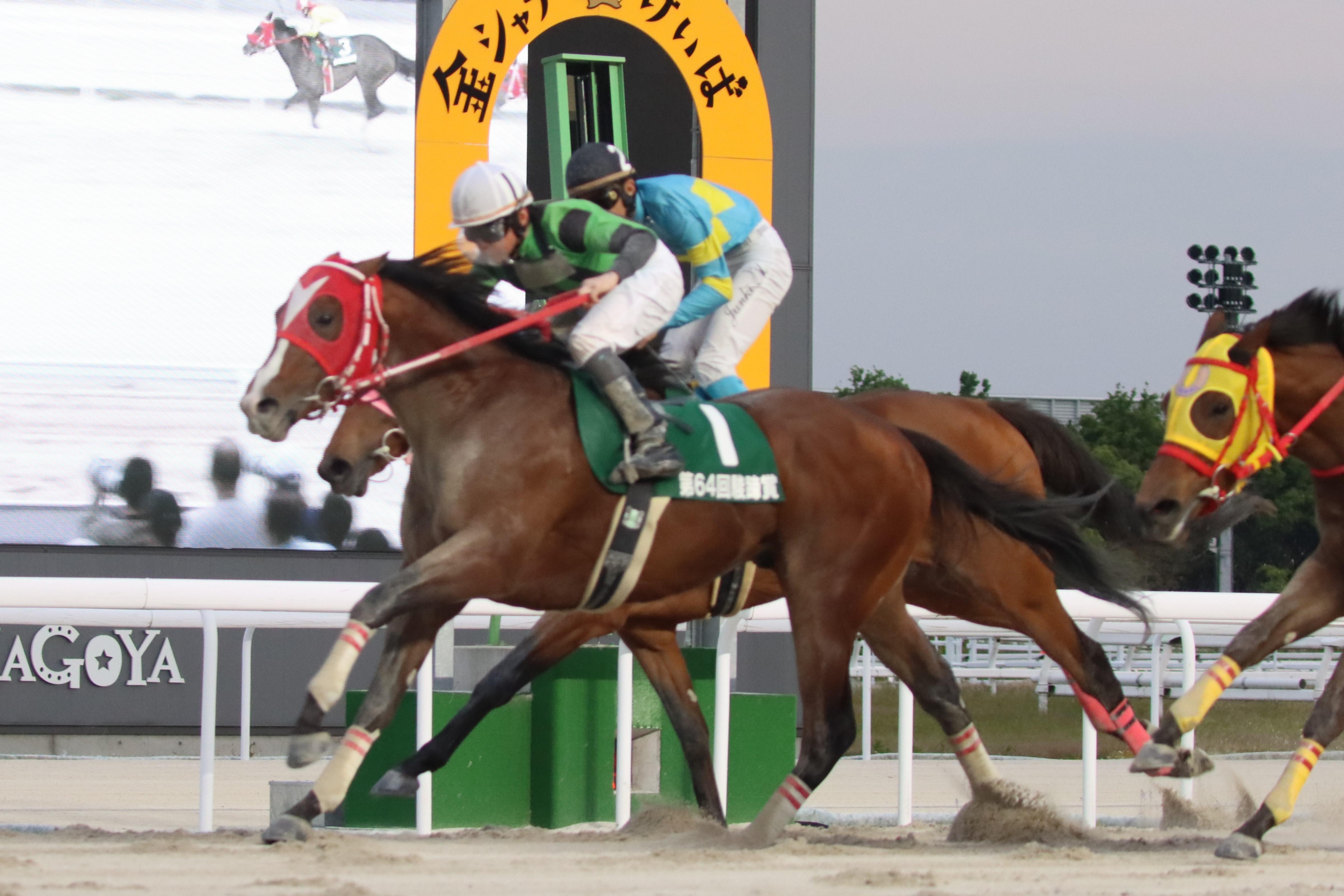 中古】 競馬に勝つ 必勝馬券作戦/西東社/高井克敏の通販 by