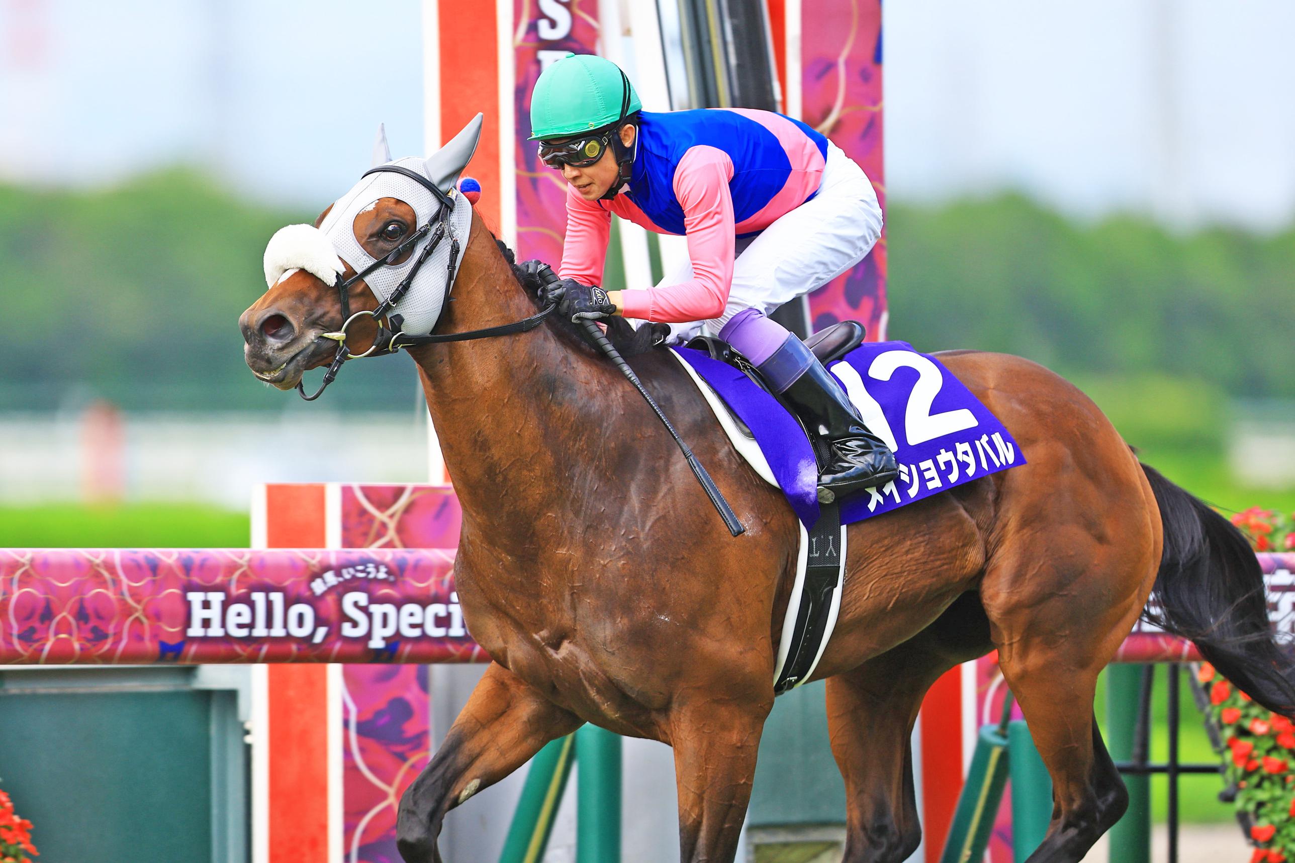 【競馬】メイショウタバル（2025年宝塚記念）ミニゼッケン／武豊／JRA 宝塚記念】メイショウタバルが逃走V 武豊が今季初G1制覇で