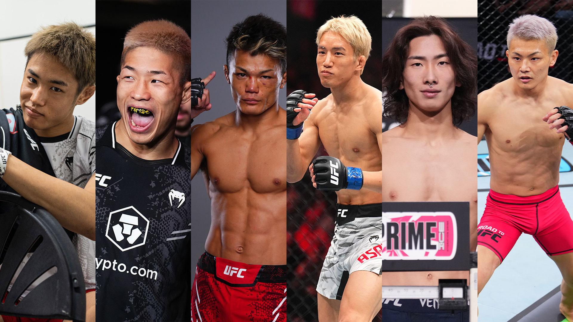 UFC オクタゴンキャンパス 格闘技 UFC オクタゴンキャンパス 格闘技