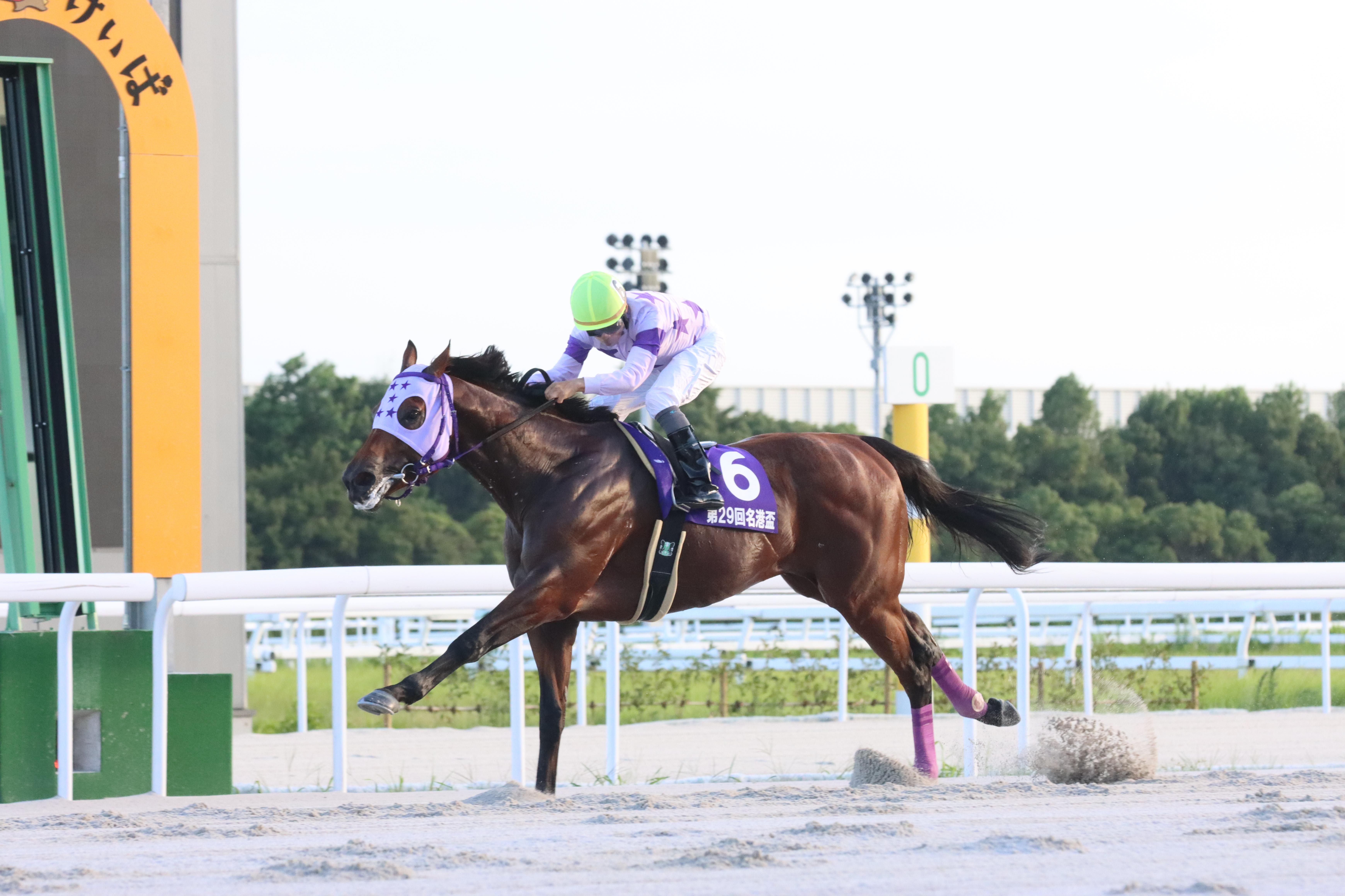 名古屋競馬】スポーツニッポン賞 第29回 名港盃(SP1)競走は