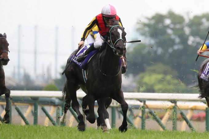 洋書 フランス語 馬 販売情報 Deauville 競馬 ドーヴィル 2002 ドーヴィル（Deauville） | 競馬データベース | JRA-VAN World