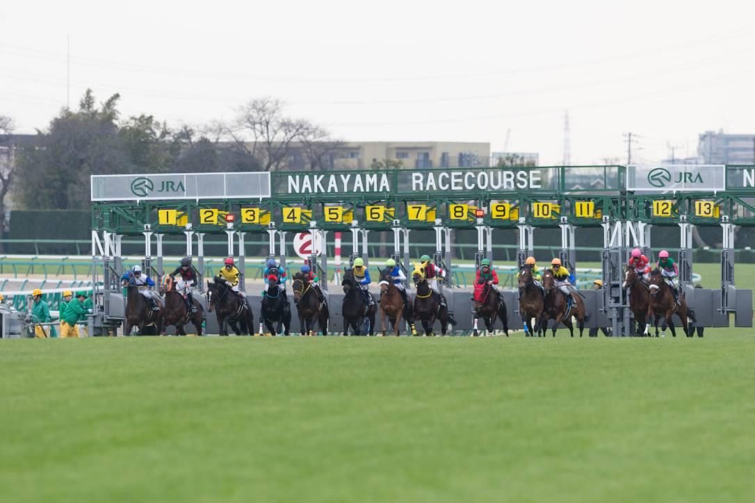 競馬　有力馬情報　後ろに競馬場のデータ付き KKC_LBS_kouchi3-300x169.jpg