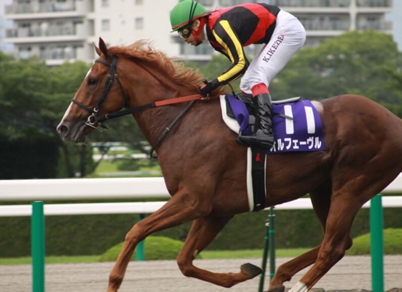 オルフェーヴル　新馬デビュー　現地馬券 オルフェーヴル 現地馬券 新馬 デビュー戦