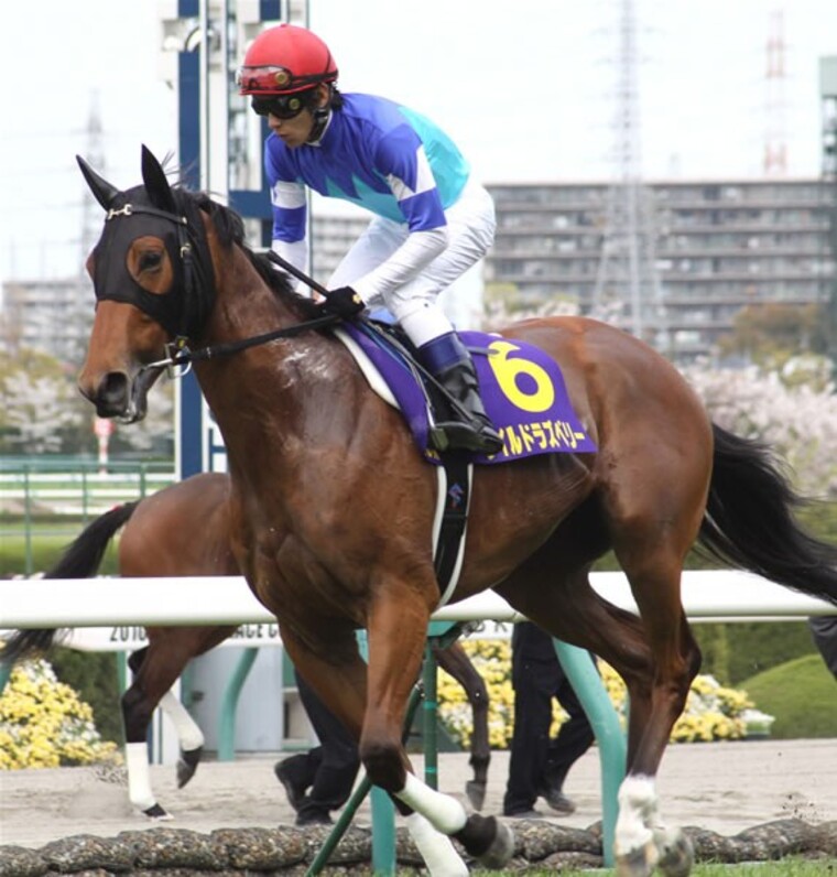 アパパネ❗️2010現地的中三冠馬券コレクション hqdefault.jpg