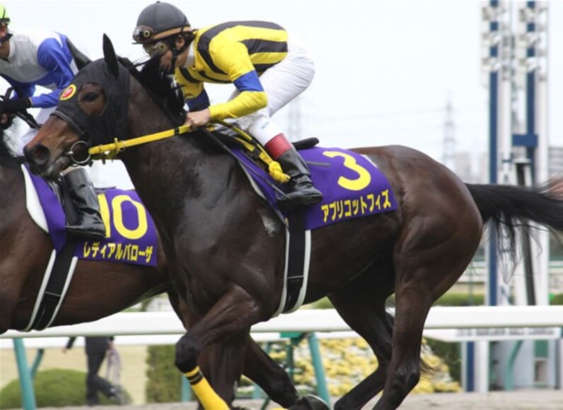 アパパネ、7年ぶり史上3頭目の三冠牝馬へ飛翔=秋華賞展望