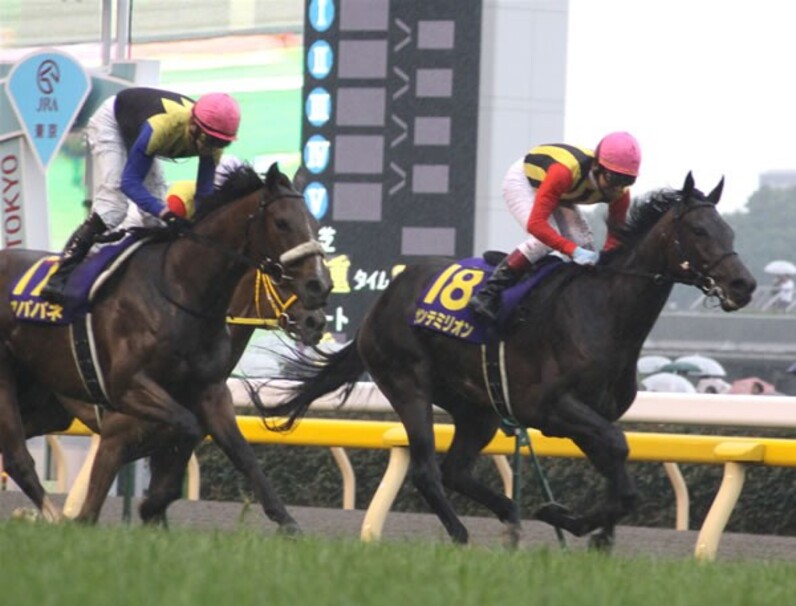 アパパネ、7年ぶり史上3頭目の三冠牝馬へ飛翔=秋華賞展望