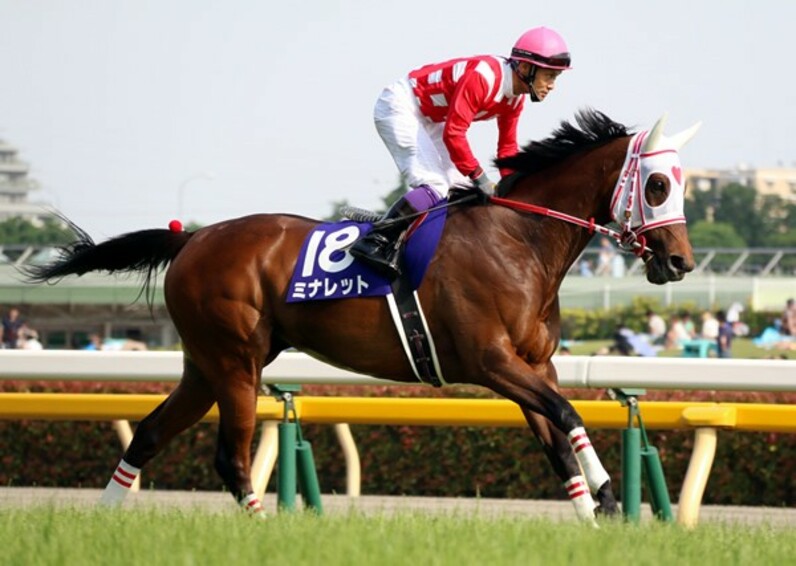 穴男＆穴馬タッグ2000万円演出の大逃げ ストレイトガール「想像
