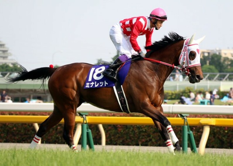 t-mimi-3858様専用 競馬 ドウデュース 写真6枚 cateslaundry.com