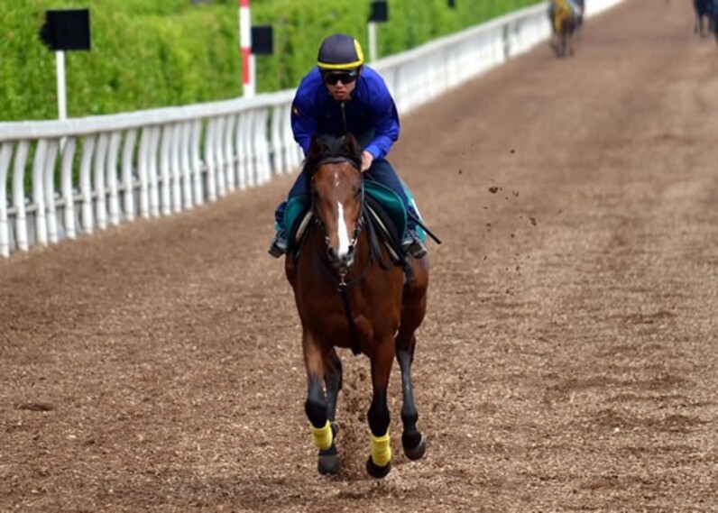 安馬か高馬か、序盤戦は明暗分かれる＝須田鷹雄「POGの達人