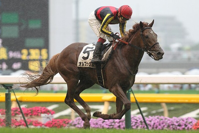 ヒカルイマイ一閃からウオッカの偉業まで 競馬記者が『思い出の