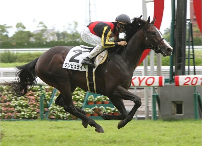 新種牡馬ルーラーシップ産駒に大物誕生？ 不良で５馬身圧勝ダンビュライトに☆６つ - スポーツナビ