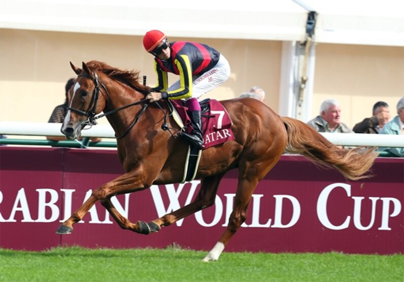 英競馬紙が驚嘆「オルフェは恐ろしい」＝合田直弘の凱旋門賞 前哨戦回顧 - スポーツナビ