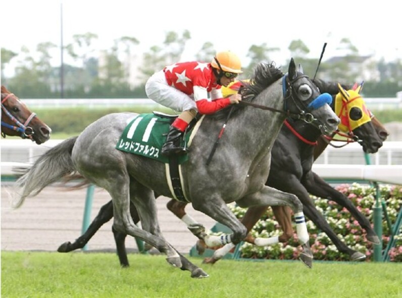 断然人気ビッグアーサー今回の作戦は 凱旋門賞の前に スプリンターズｓ座談会 スポーツナビ